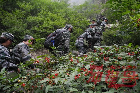 野外综合拉练